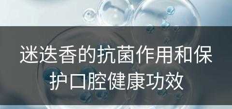 迷迭香的抗菌作用和保护口腔健康功效